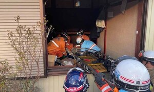 Perro de rescate salva a una mujer de 80 años en Japón 72 horas después del terremoto – Prensa 5