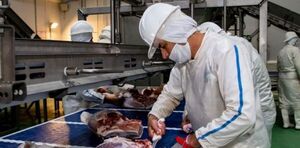 Exportaciones de carne porcina paraguaya a Taiw谩n crecen un 550% - Revista PLUS