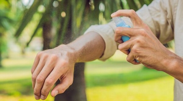 REPELENTE: TU BARRERA PROTECTORA CONTRA EL DENGUE - Itapúa Noticias