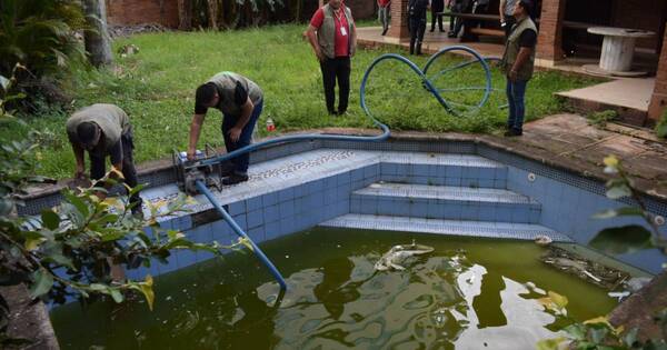 La Nación / Dengue y covid-19: instan a la población a tomar acciones para prevenir la propagación de los casos