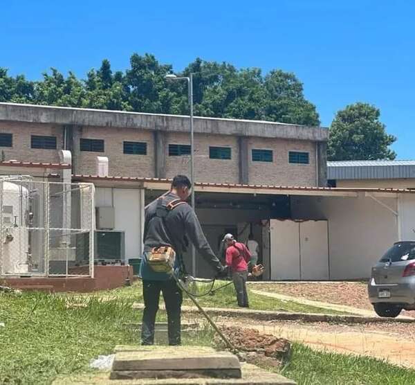 Reportan 395 casos confirmados de dengue en Cordillera - Nacionales - ABC Color