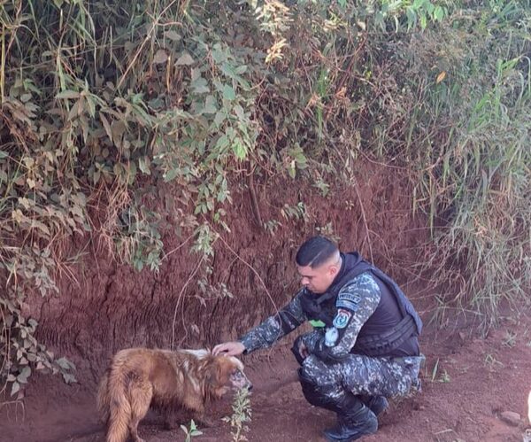 ¡Que capos! Los Linces rescataron a un jagua’i herido y abandonado