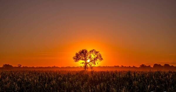 La Nación / Fascinantes postales de un territorio a descubrir: el Chaco paraguayo