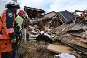Gracias a un perro, anciana es rescatada de los escombros 4 días después del sismo en Japón | 1000 Noticias