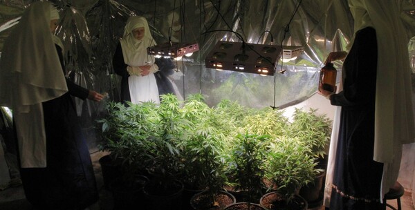 Viven vestidas de monjas, pero no lo son; son productoras y consumidoras de marihuana - La Tribuna