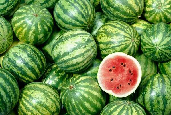 El fenómeno de El Niño afecta la producción de sandía: una reducción del 80%