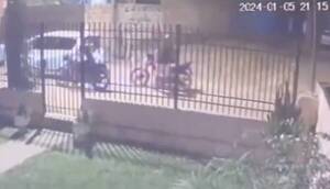 [VIDEO] ¡Mala pata! Iba robar la moto de un poli y encima le cayeron los Lince