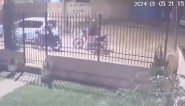 [VIDEO] ¡Mala pata! Iba robar la moto de un poli y encima le cayeron los Lince
