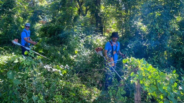 Luque intensifica mingas ambientales para eliminar criaderos del Aedes
