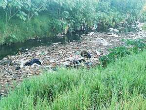 Municipalidad no acciona pese notificación por contaminación masiva de arroyo - Nacionales - ABC Color