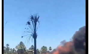 Piloto de avioneta estrellada en Luque-SanBer sobrevivió