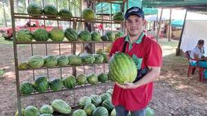 Jugosas, deliciosas y variadas especie de sandías son la atracción de la feria en Paso Güembé - Nacionales - ABC Color