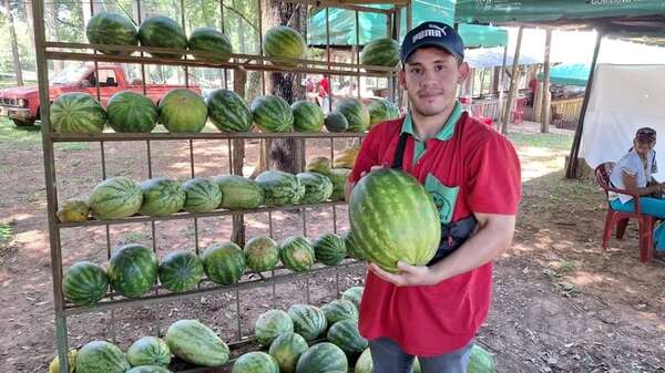 Jugosas, deliciosas y variadas especie de sandías son la atracción de la feria en Paso Güembé - Nacionales - ABC Color