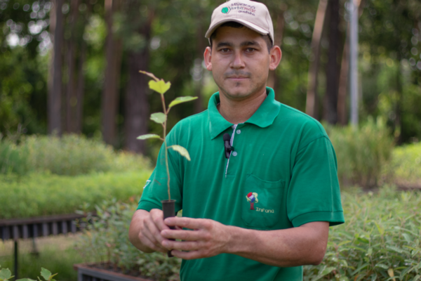 Vivero central del Infona produce 250.000 plantines y se encuentra abierto a todo público - .::Agencia IP::.