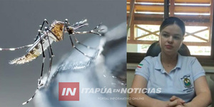 GOBERNACIÓN DE ITAPÚA TRABAJA PARA CONCIENCIAR A LAS PERSONAS SOBRE EL DENGUE  - Itapúa Noticias
