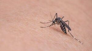 Papá de niña fallecida por dengue denuncia supuesta mala praxis en hospital
