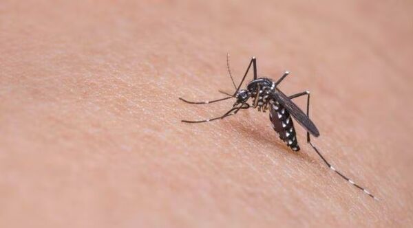 Papá de niña fallecida por dengue denuncia supuesta mala praxis en hospital