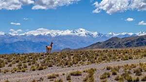 Aventura en el Camino del año en los Andes  - ABC Revista - ABC Color