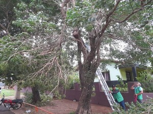 Limpieza y prevención: Municipalidad de Encarnación actúa tras el paso del temporal