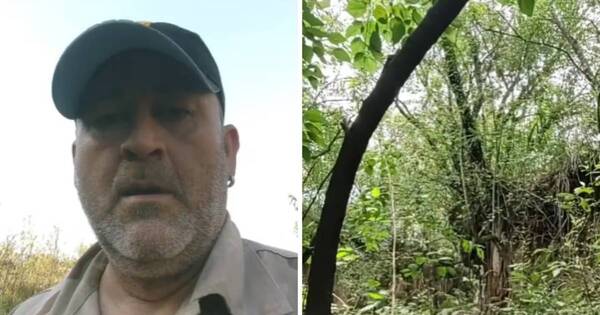 Diario HOY | Hombre caminaba por un bosque, vio algo escalofriante y grabó todo: “Está quietito ahí”