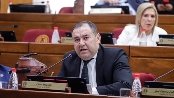 Senador Líder Amarilla ubica a su hermana como asesora con un salario de G. 12 millones