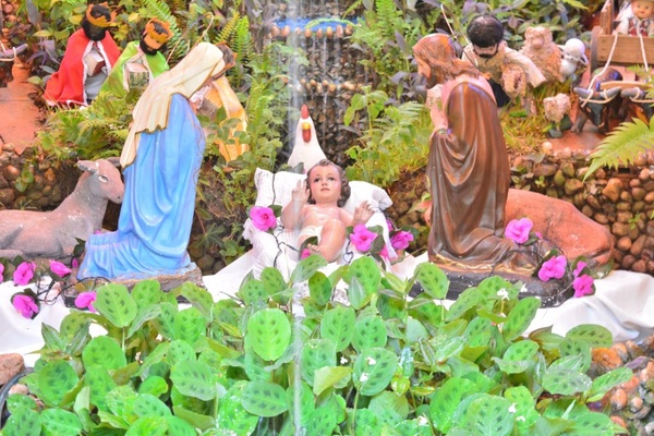 ¿Cuándo guardar el árbol y pesebre navideño?