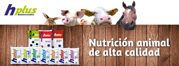 Si de salud animal se trata, el mejor aliado es Hplus Balanceados