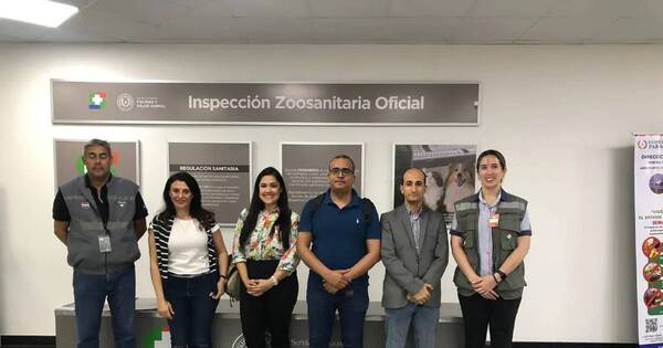 La Nación / Egipto audita a nuevos establecimientos para exportación de carne y menudencia bovina