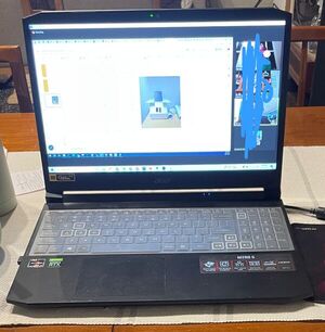Robo en vivienda de Encarnación: víctima busca ayuda para recuperar su notebook