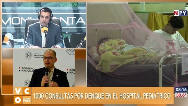 Nueve niños en UTI por dengue grave - Noticias Paraguay
