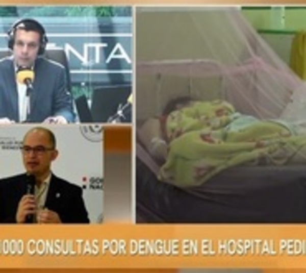Nueve niños en UTI por dengue grave - Paraguay.com