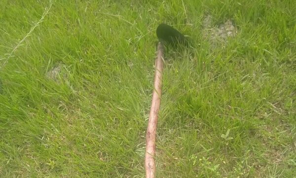 Karai atacó a su doña con azada y luego se suicidó