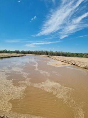 Río Pilcomayo trae alivio a pobladores después de 4 años de sequía extrema | 1000 Noticias