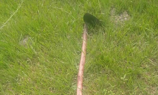 Atacó a su pareja con una azada y luego se quitó la vida en Misiones – Prensa 5