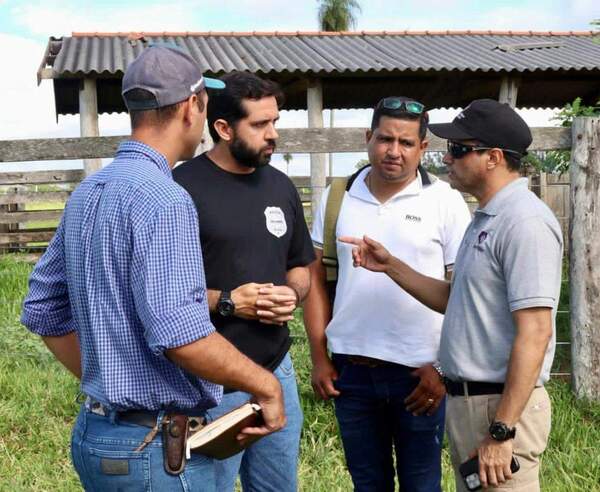 Caso Megaabigeato: En Operativo Recuperan Otras 37 Cabezas de Ganado