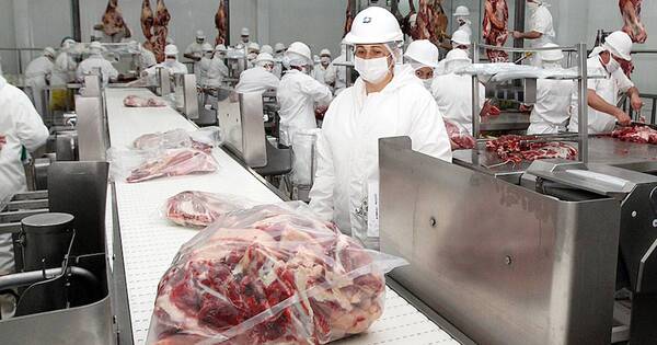 La Nación / Frigoríficos deberán obtener la certificación halal para exportar a Egipto