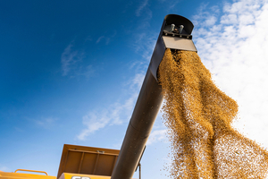 Empiezan las cosechas de soja en varios puntos del país y productores se encuentran optimistas a buenos resultados