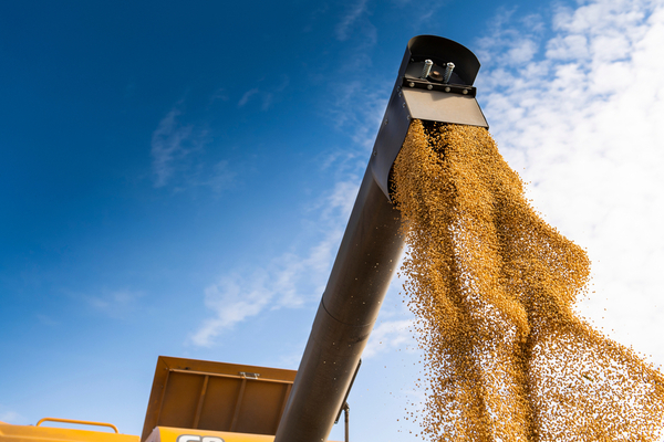 Empiezan las cosechas de soja en varios puntos del país y productores se encuentran optimistas a buenos resultados
