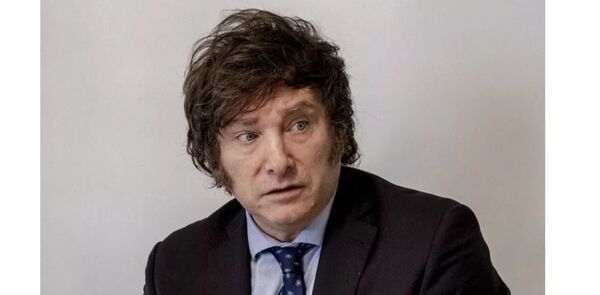 La "ley 贸mnibus" de Javier Milei enfrentar谩 su primer escrutinio en el Congreso - Revista PLUS