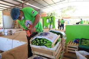 AVANZAN GESTIONES Y ESTIMAN QUE ESTE MES YA SE PODRÍA EXPORTAR BANANA PARAGUAYA A CHILE - Itapúa Noticias
