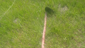 Hombre atacó con azada a su esposa y luego se quitó la vida - Noticiero Paraguay