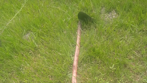 Hombre atacó con azada a su esposa y luego se quitó la vida - Noticiero Paraguay