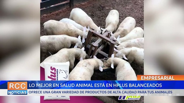 Si de salud animal se trata el mejor aliado es Hplus balanceados