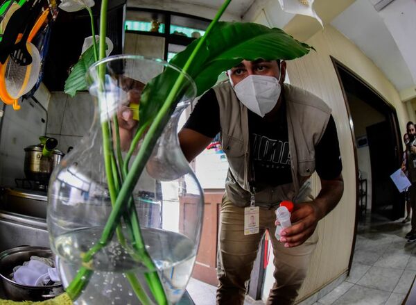 Dengue: Senepa inició los trabajos de control vectorial en Asunción y Central
