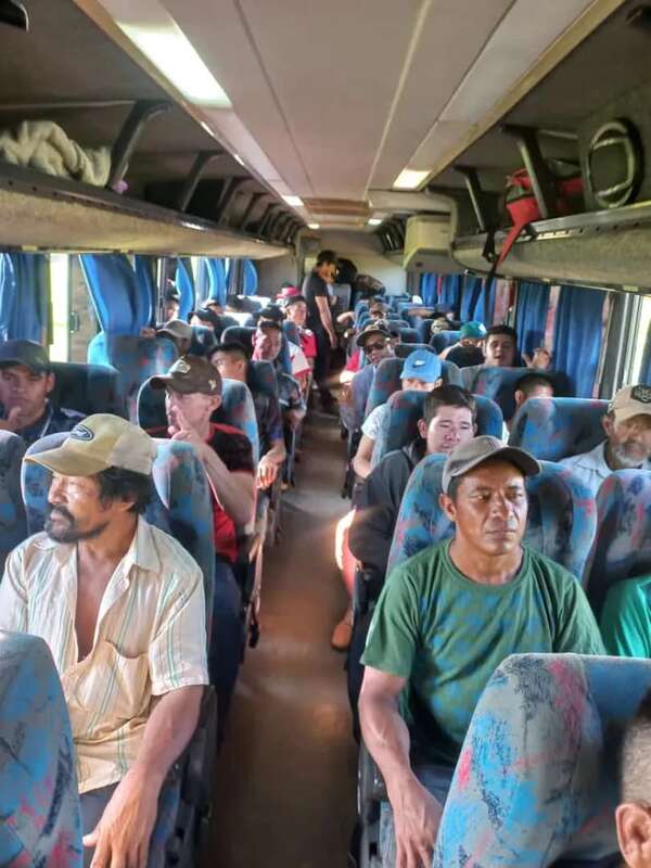 Los aché viajan al Brasil para trabajar en la recolección de manzana - Nacionales - ABC Color
