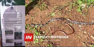 VECINOS DEL BARRIO SAN ROQUE DENUNCIAN ABANDONO DE TERRENO PRIVADO - Itapúa Noticias