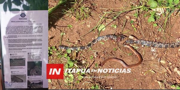 VECINOS DEL BARRIO SAN ROQUE DENUNCIAN ABANDONO DE TERRENO PRIVADO - Itapúa Noticias