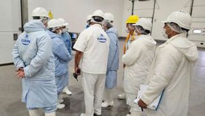 Viene por más: Egipto audita frigoríficos nacionales para compra de carne y menudencia paraguayas