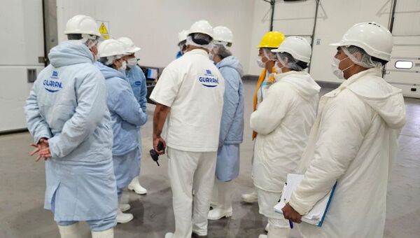 Viene por más: Egipto audita frigoríficos nacionales para compra de carne y menudencia paraguayas