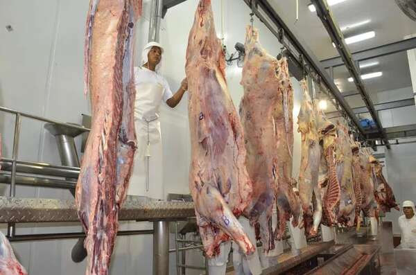 US$ 219 millones no ingresaron al país por menor exportación de carne - Economía - ABC Color